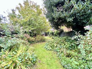 Photo 12- click for photo gallery